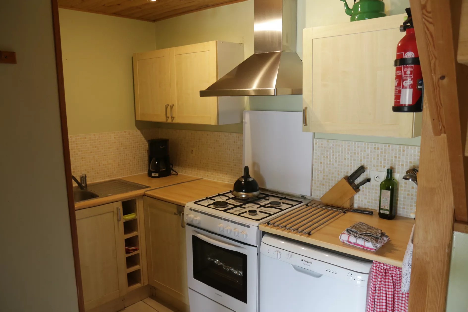 Chouette - aux yeux verts