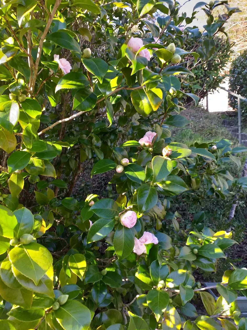 Gite Moulin de Ludièras