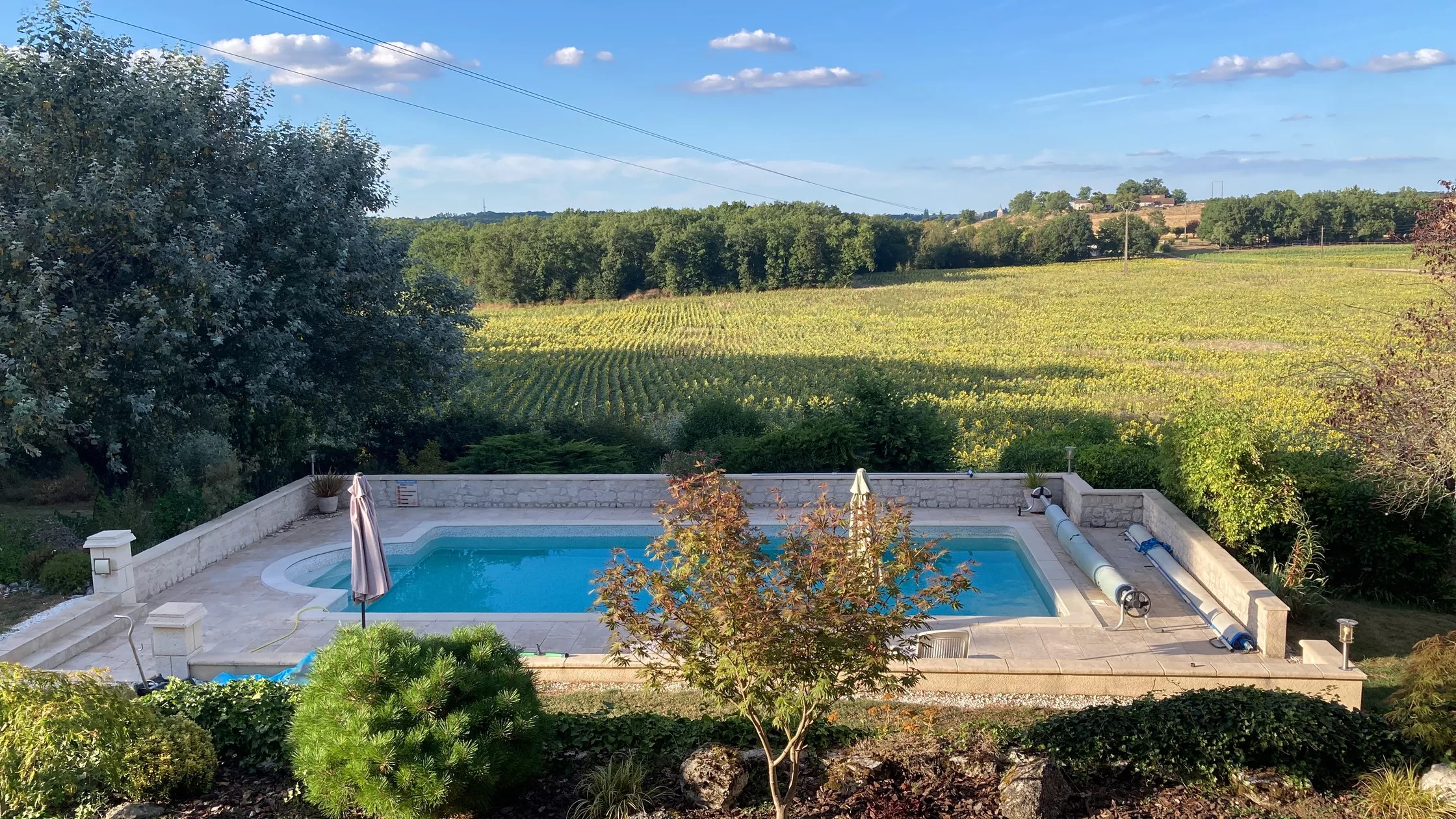 Les Crocus - Le Studio