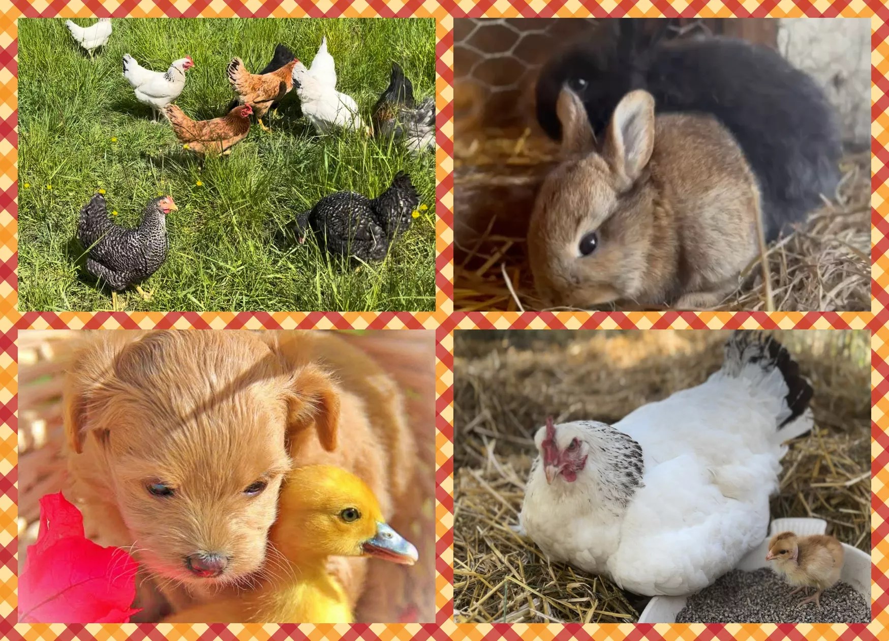 Le Relais de La Jemaye