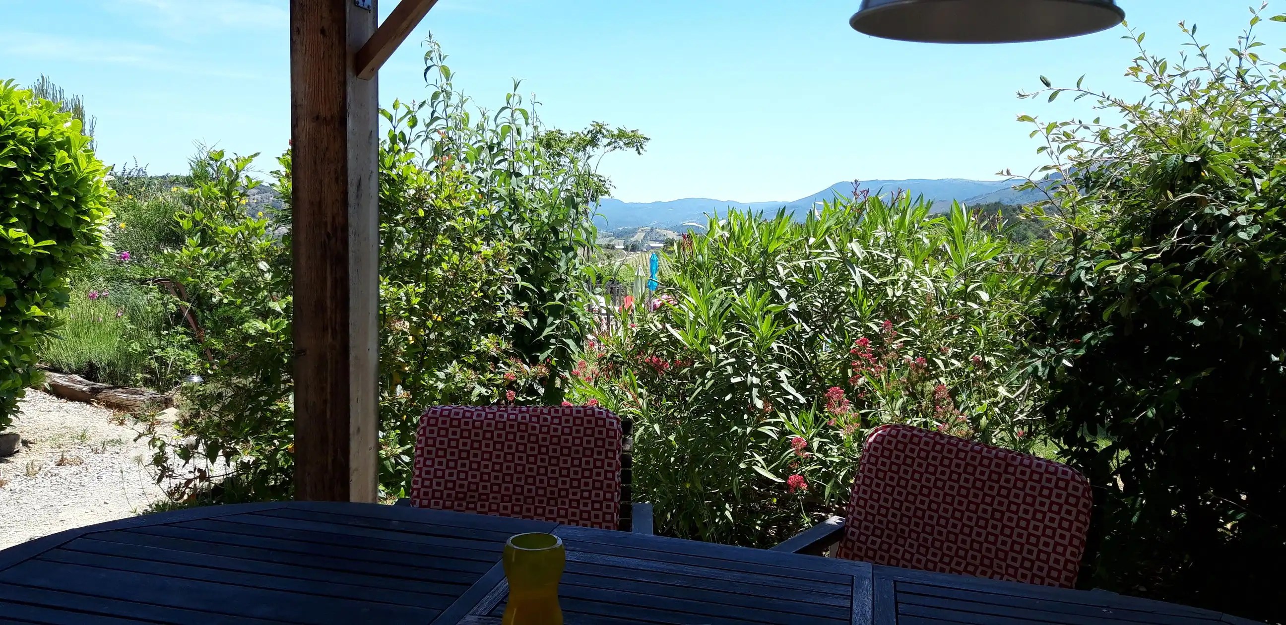 le Pinot Noir - Entre les Vignes