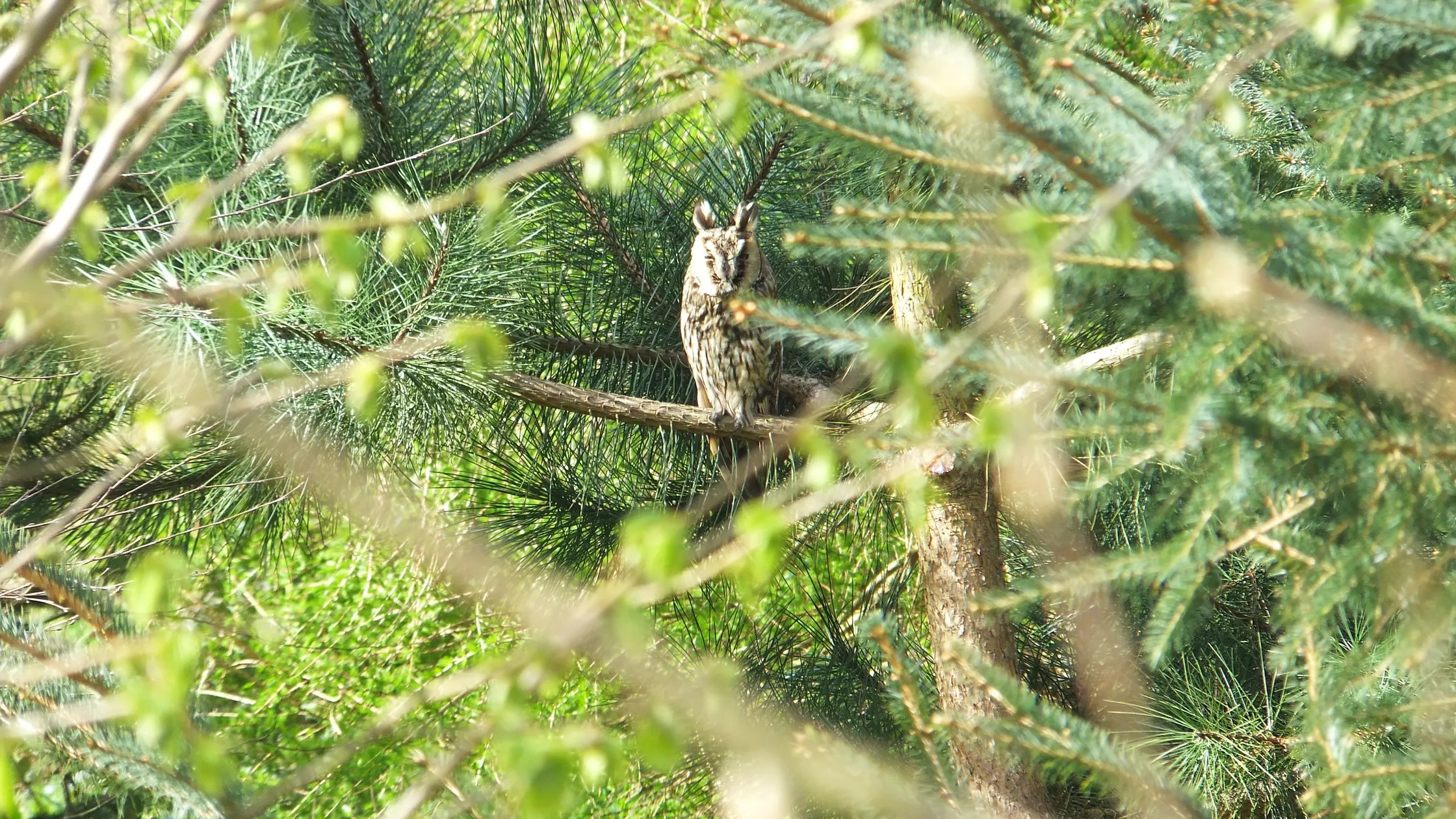 Entre campagne et mer