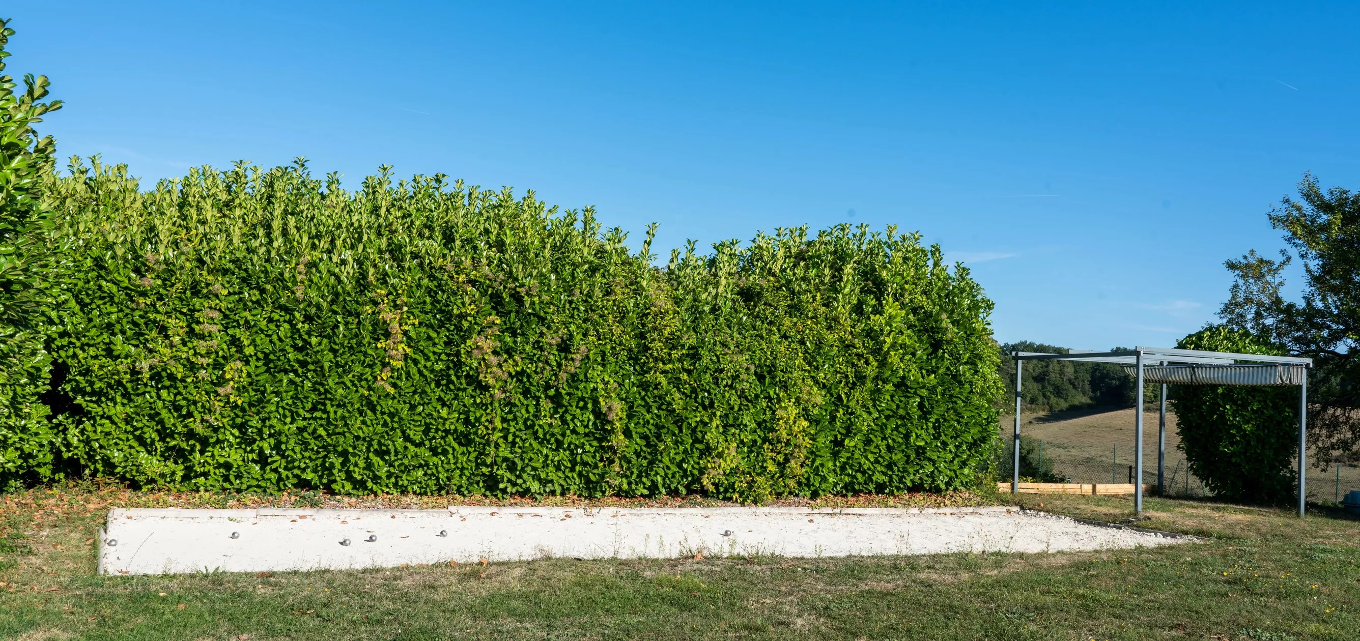 Chez Maurit - Fig Cottage