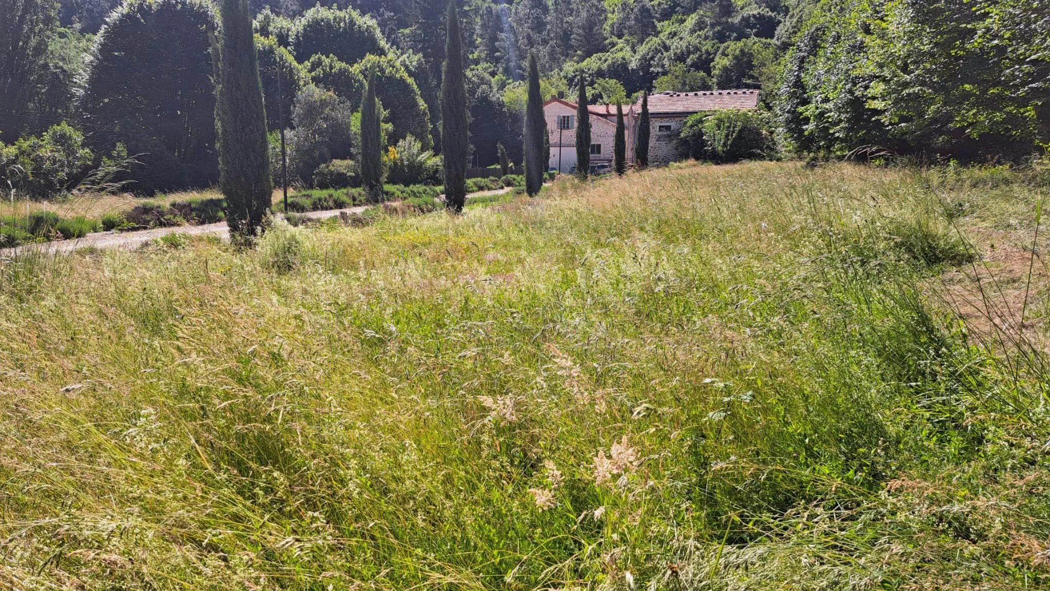 Chateau du Fraissinet - les Citronniers