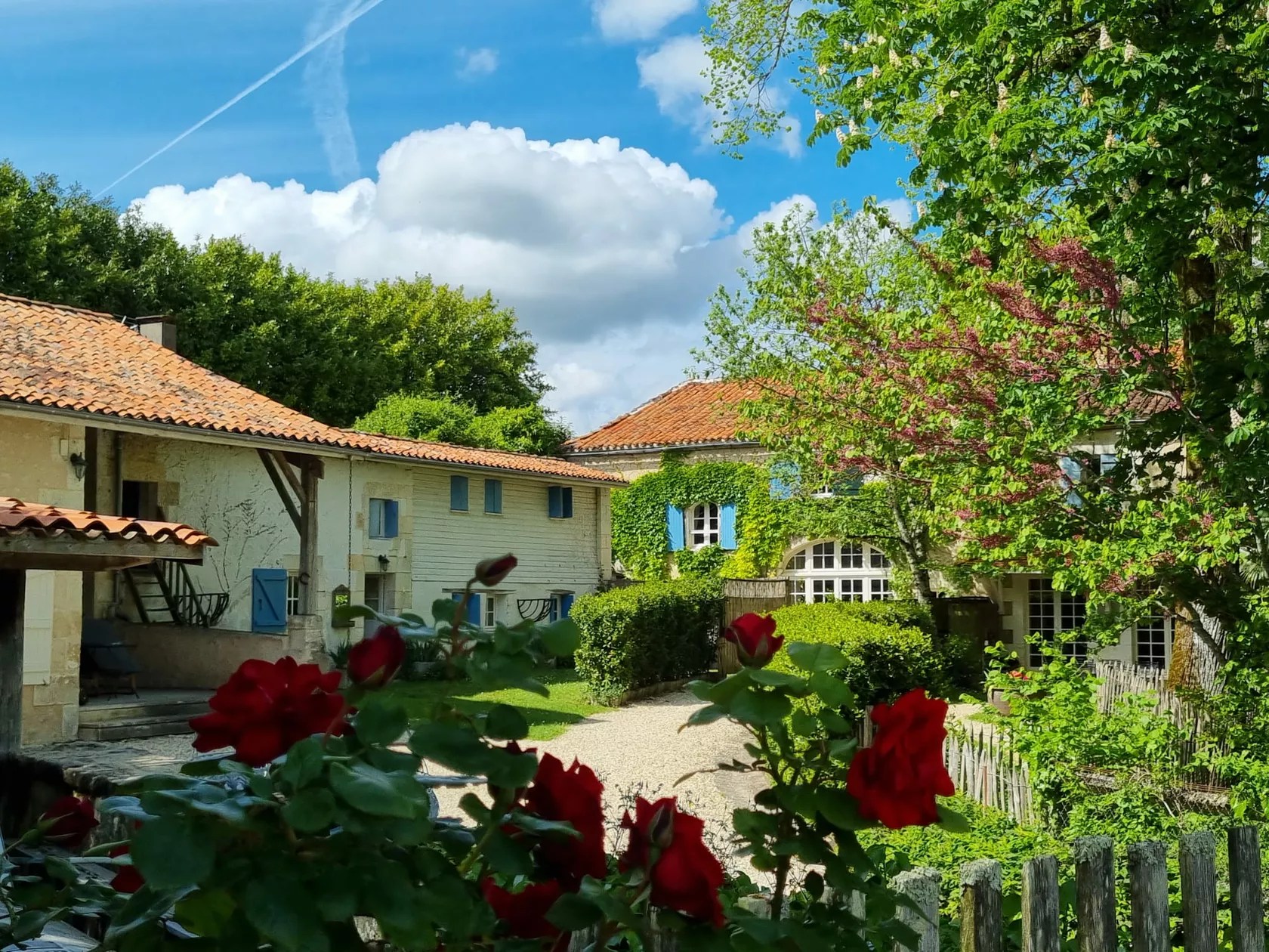 Les Mirandes - La Vigne