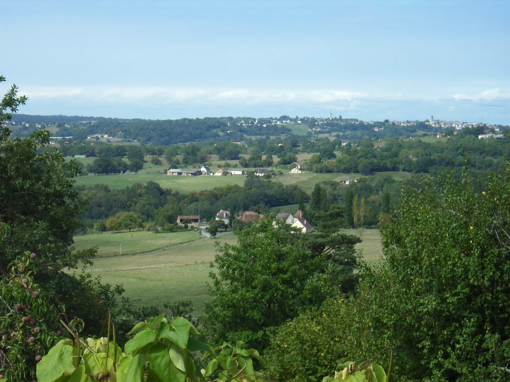 Domaine les Pins - La Figue