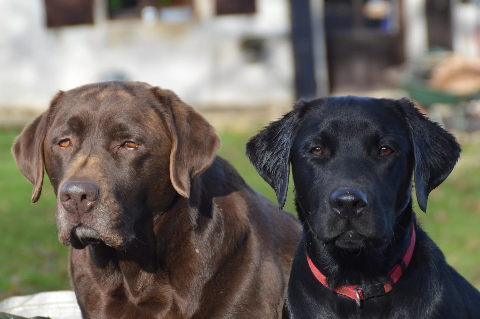 Le Cottage at Chez Penny