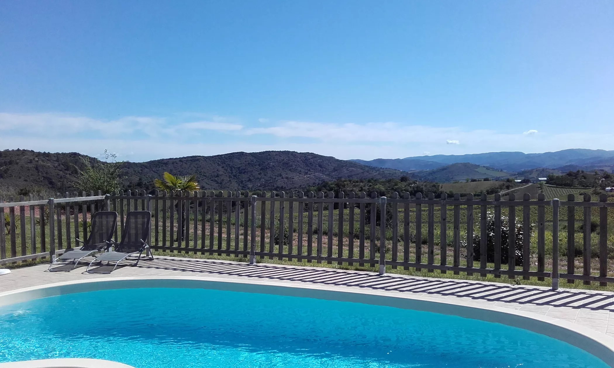 le Pinot Noir - Entre les Vignes