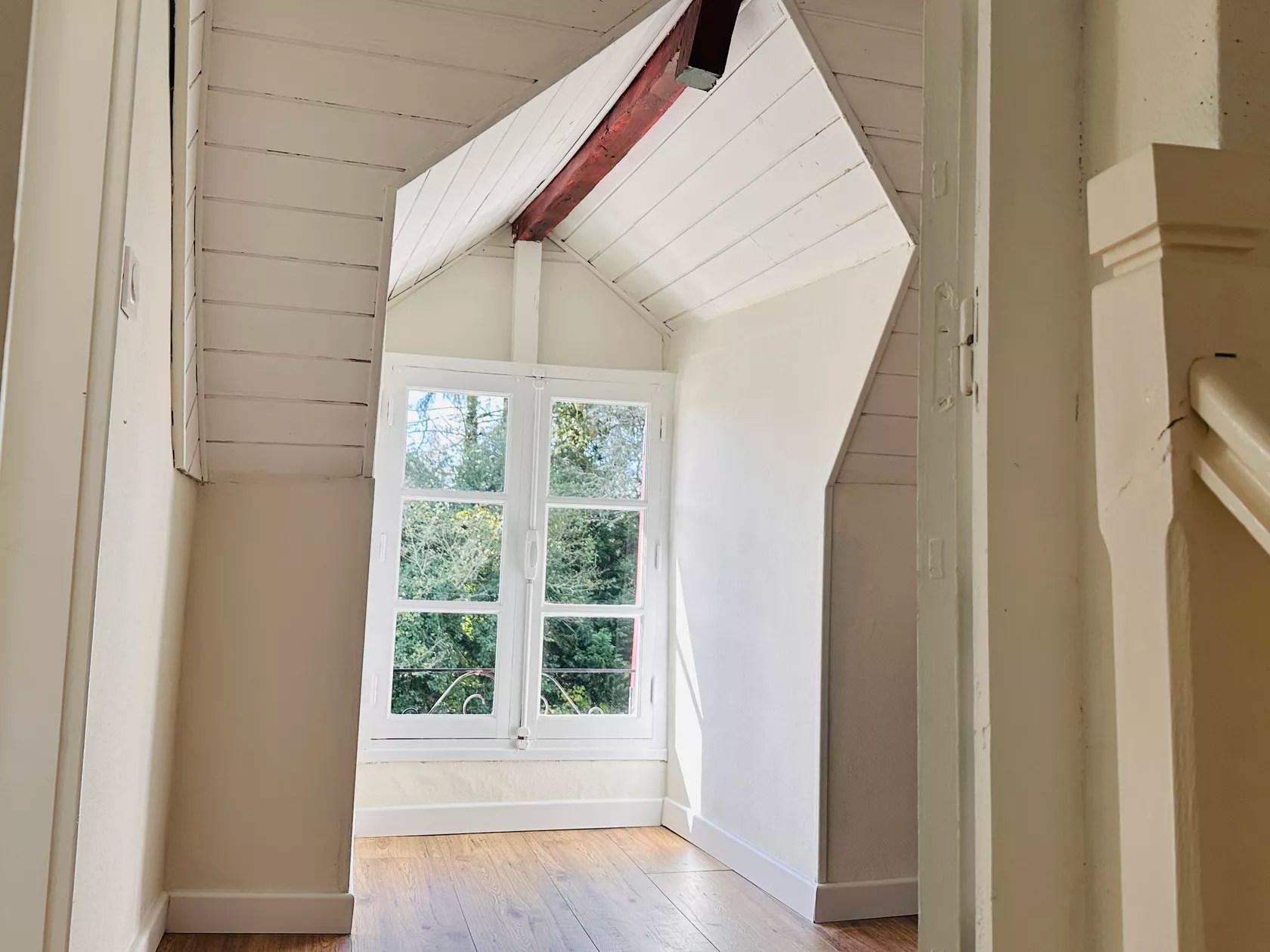 Les Deux Canards Perdus