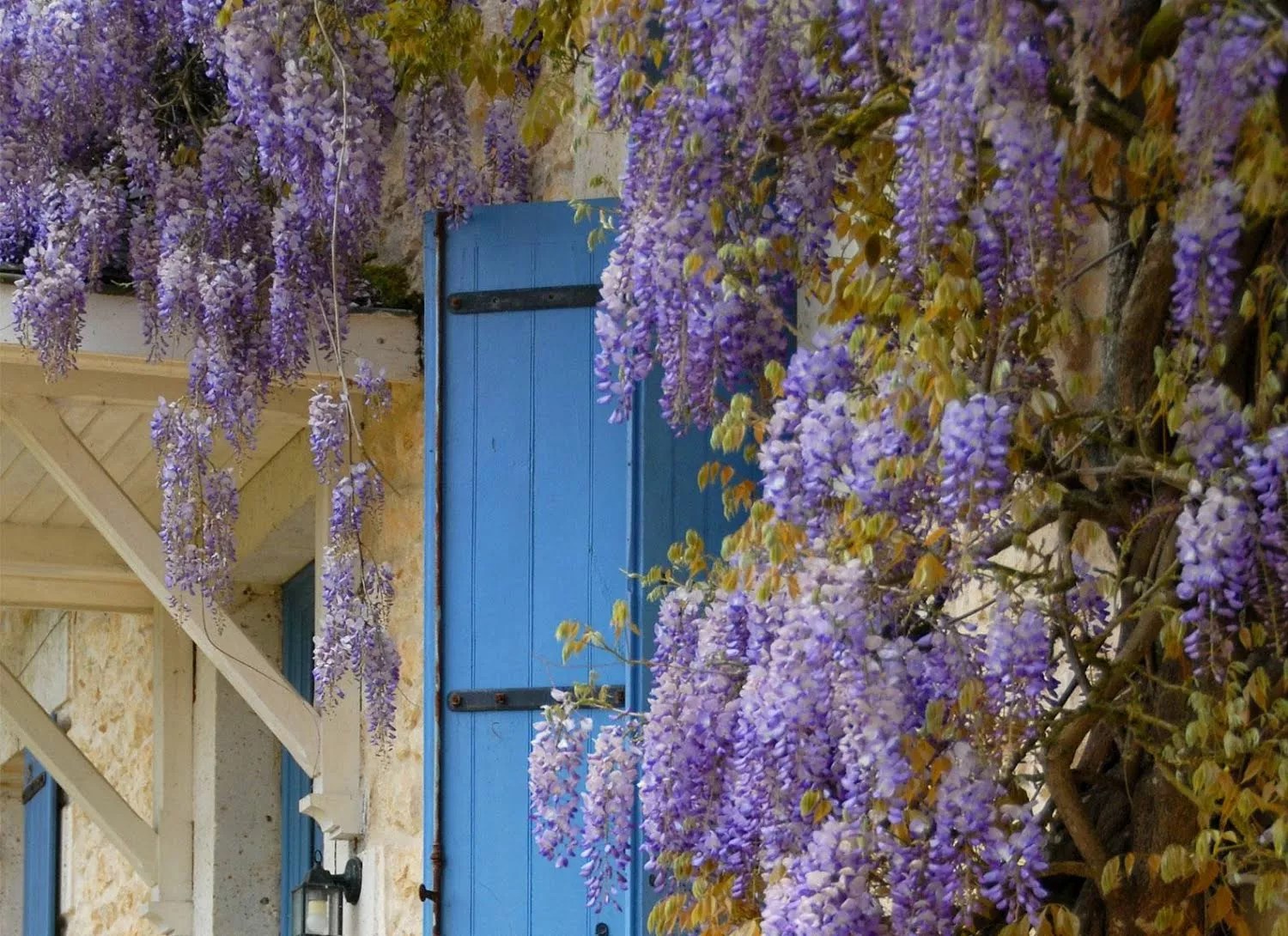 Les Mirandes - Le Beauregard