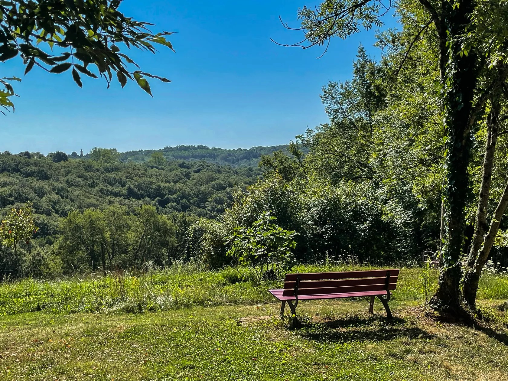 Domaine Maison Rouge