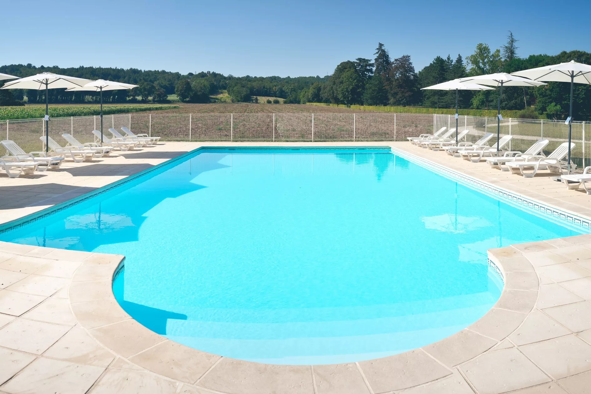 La Scie - Domaine de Vincenti