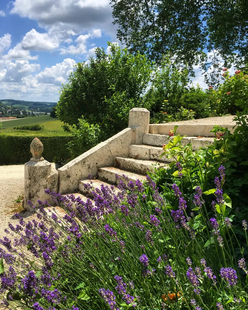 Les Mirandes - La Vigne