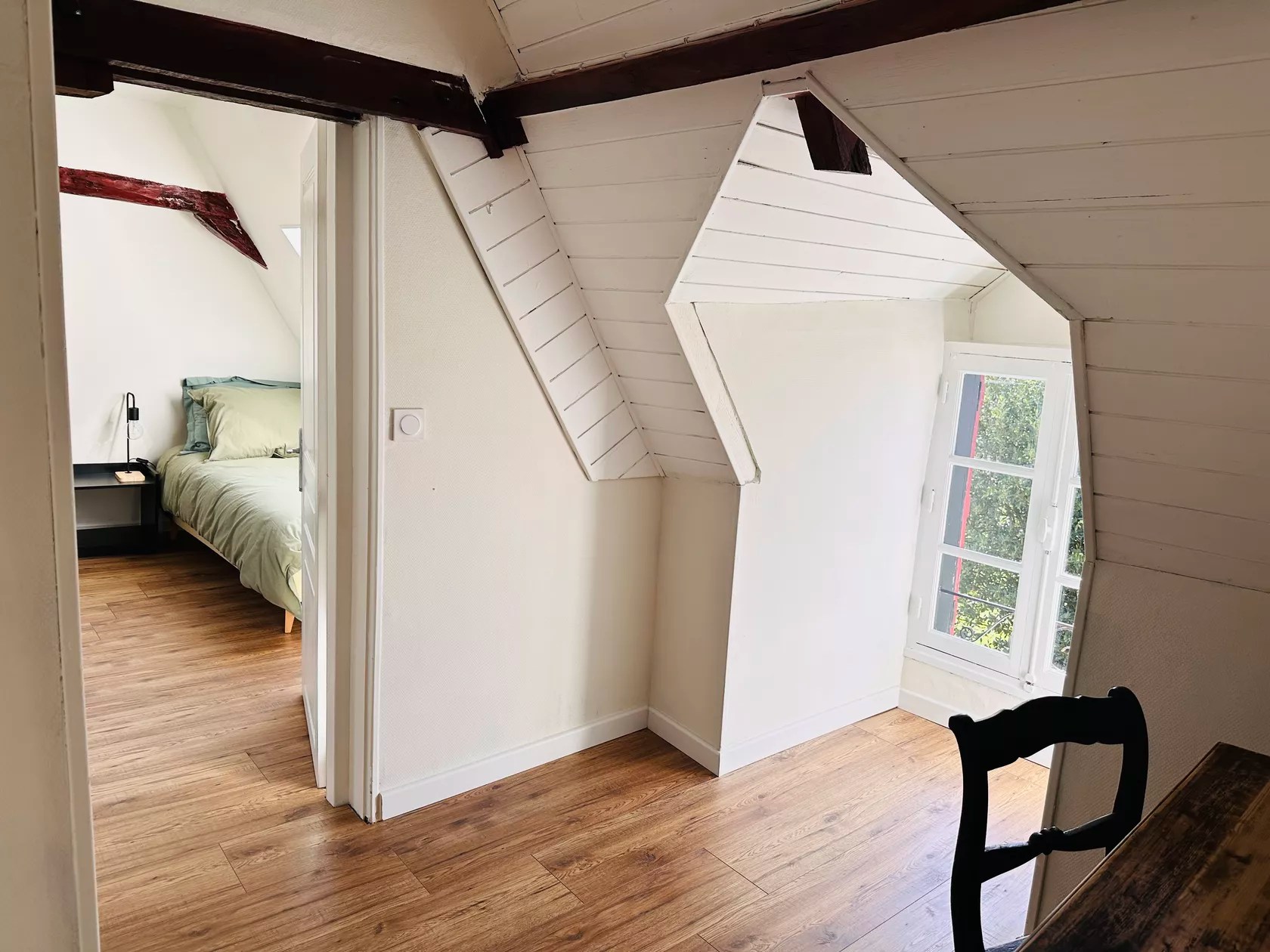 Les Deux Canards Perdus