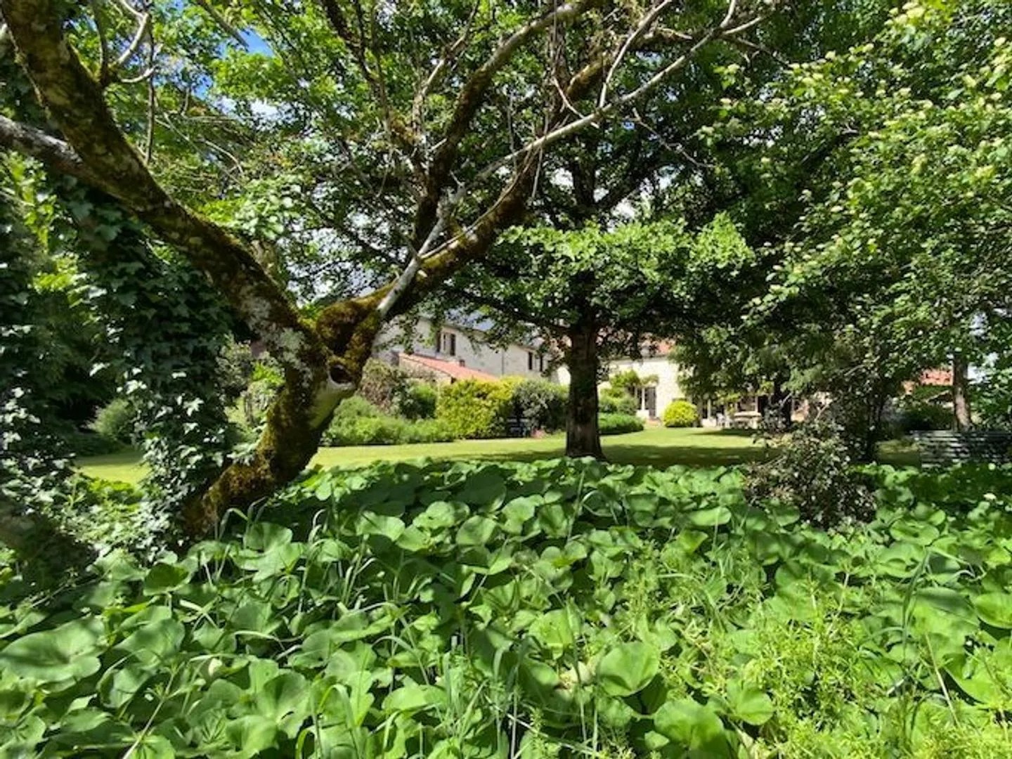 Domaine Voilà Gîte QUATRE