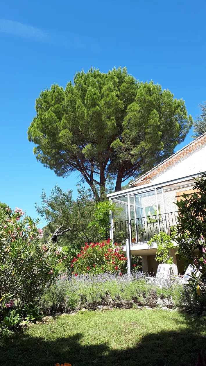 La maison du colonel