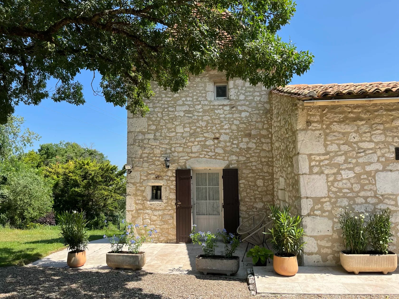 Les Crocus - La Tour