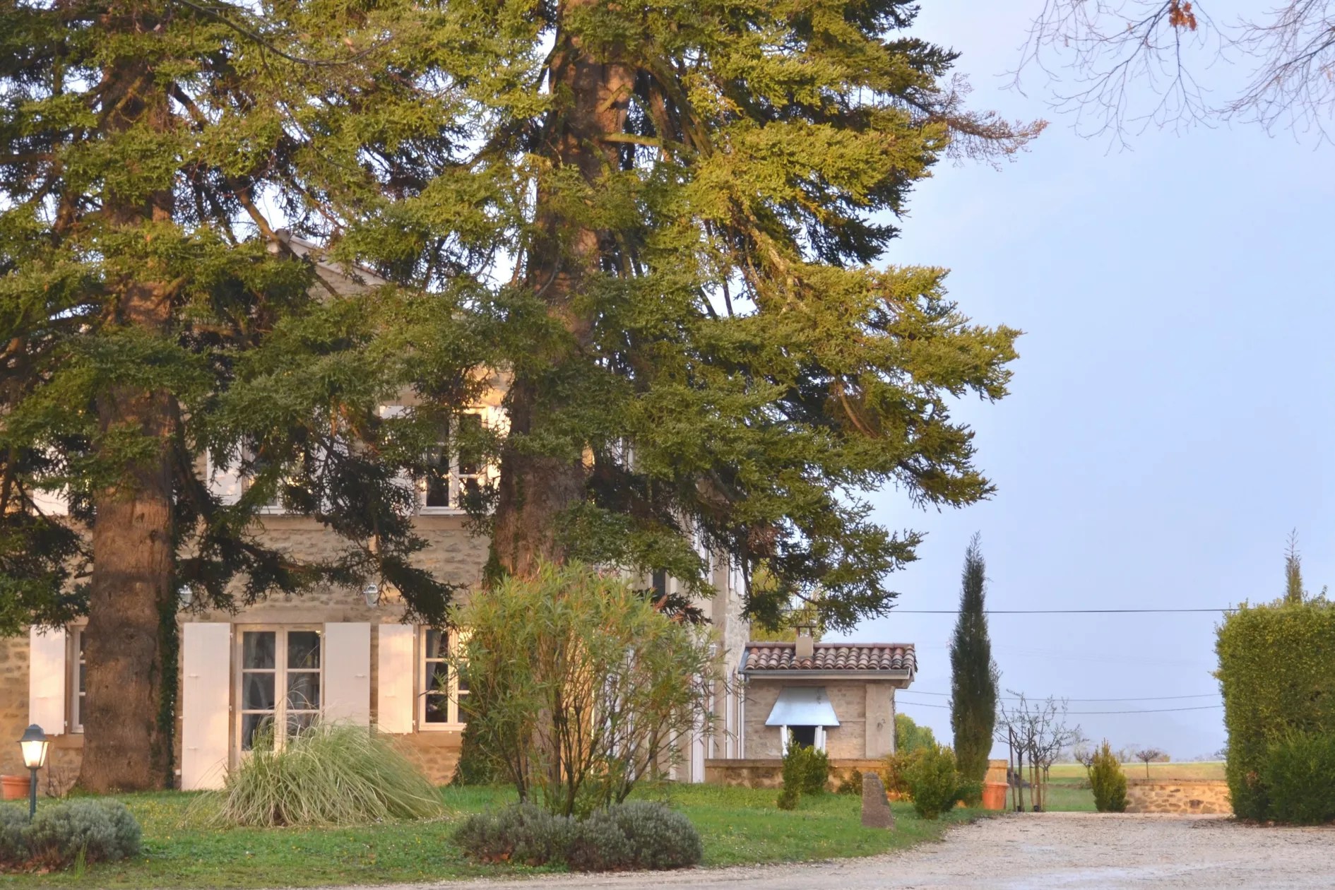 Les Agnelles - Domaine de Vincenti