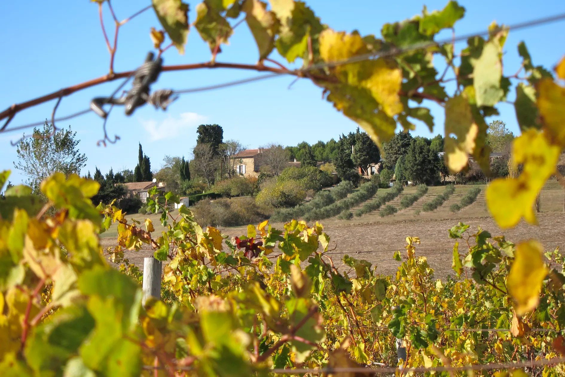 Domaine de la Bade: Gite Malepere “Bas”