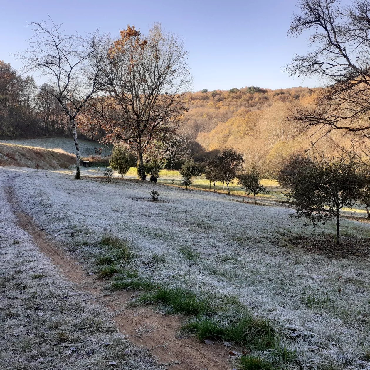 Gite du Manoir de Carlucet