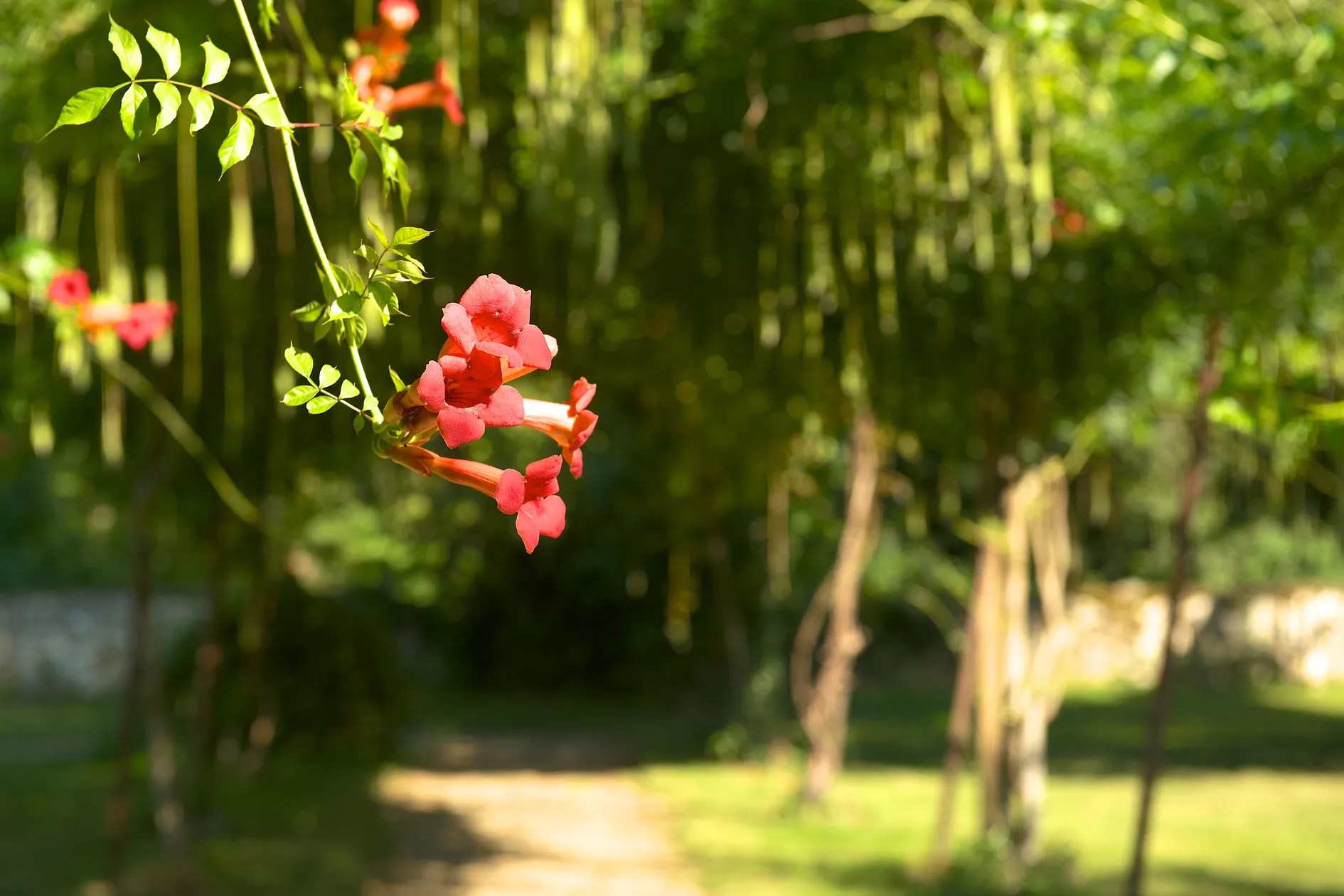 Le Prieuré Atelier gîte