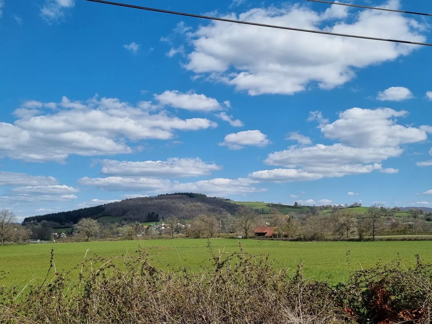 Domaine Le Beau Lavault - Mirabelle