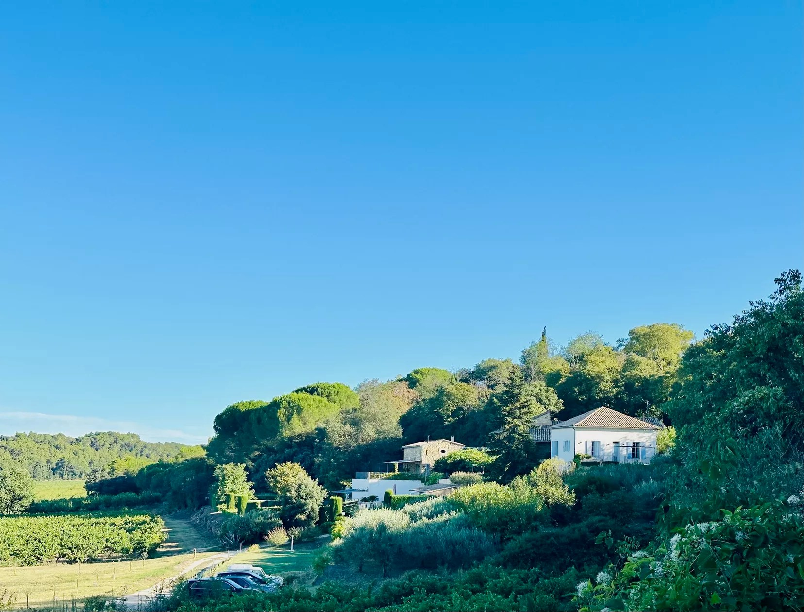 Domaine Cadignac - Joie de Vivre