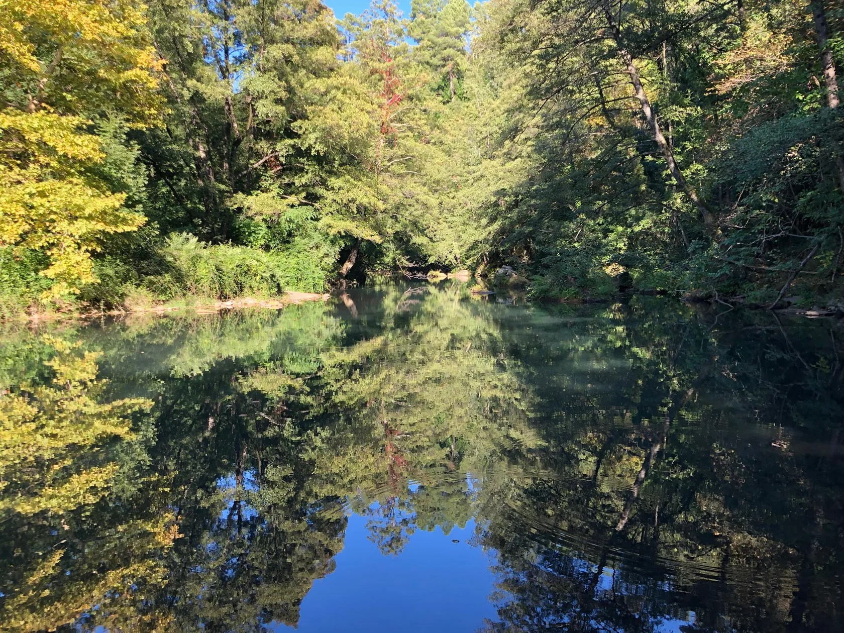 Chateau du Fraissinet - Les Châtaigniers