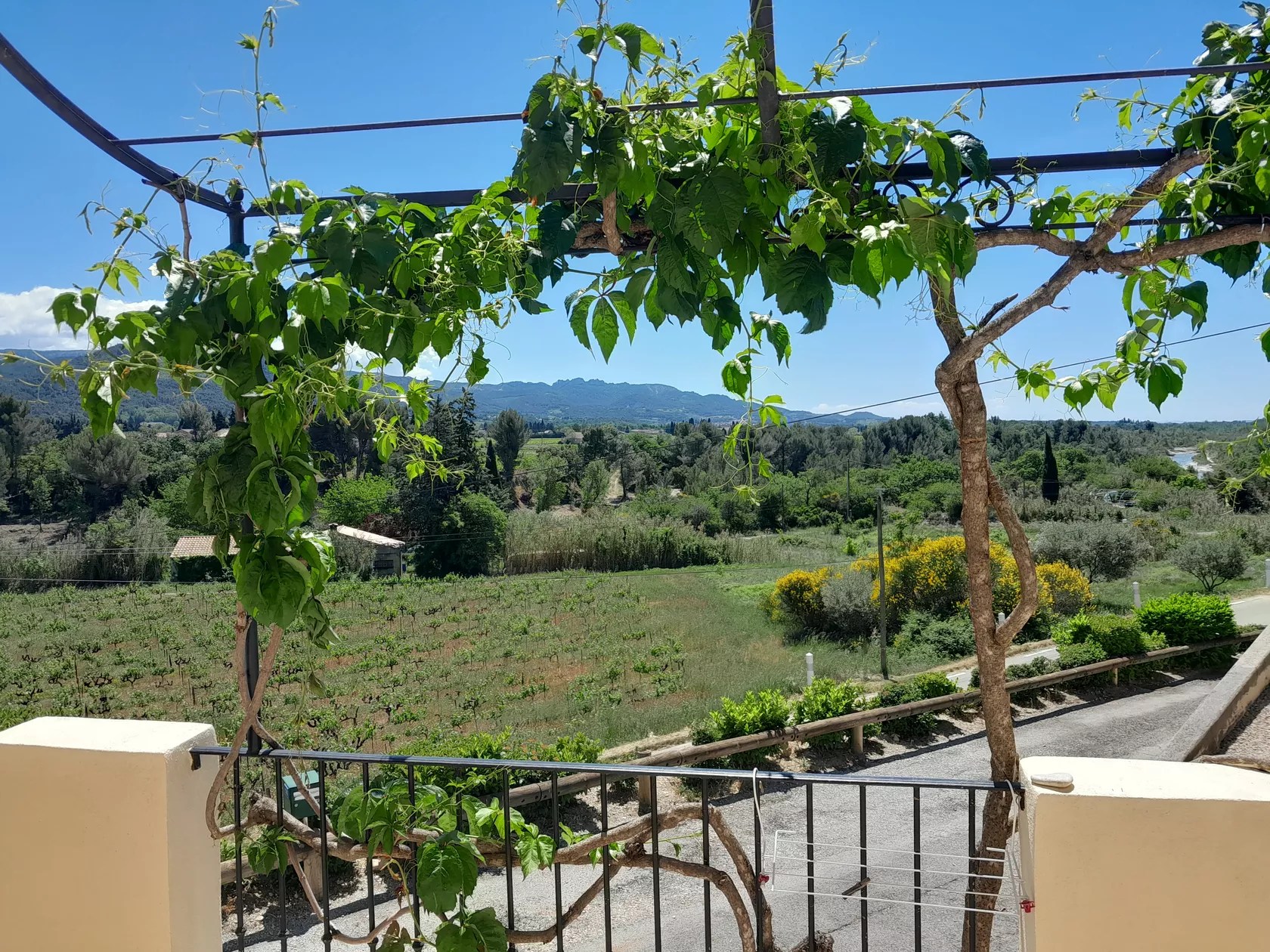 Les Lunettes Rasteau - Gîte Mirabel