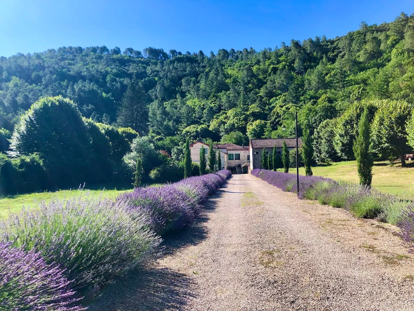 Château du Fraissinet - Les Tilleuls