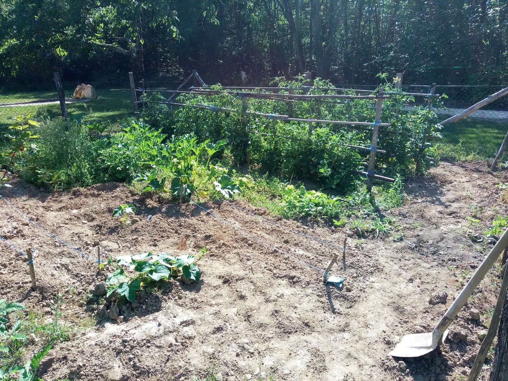 LES PRUNIERS DE LA CIPIERE