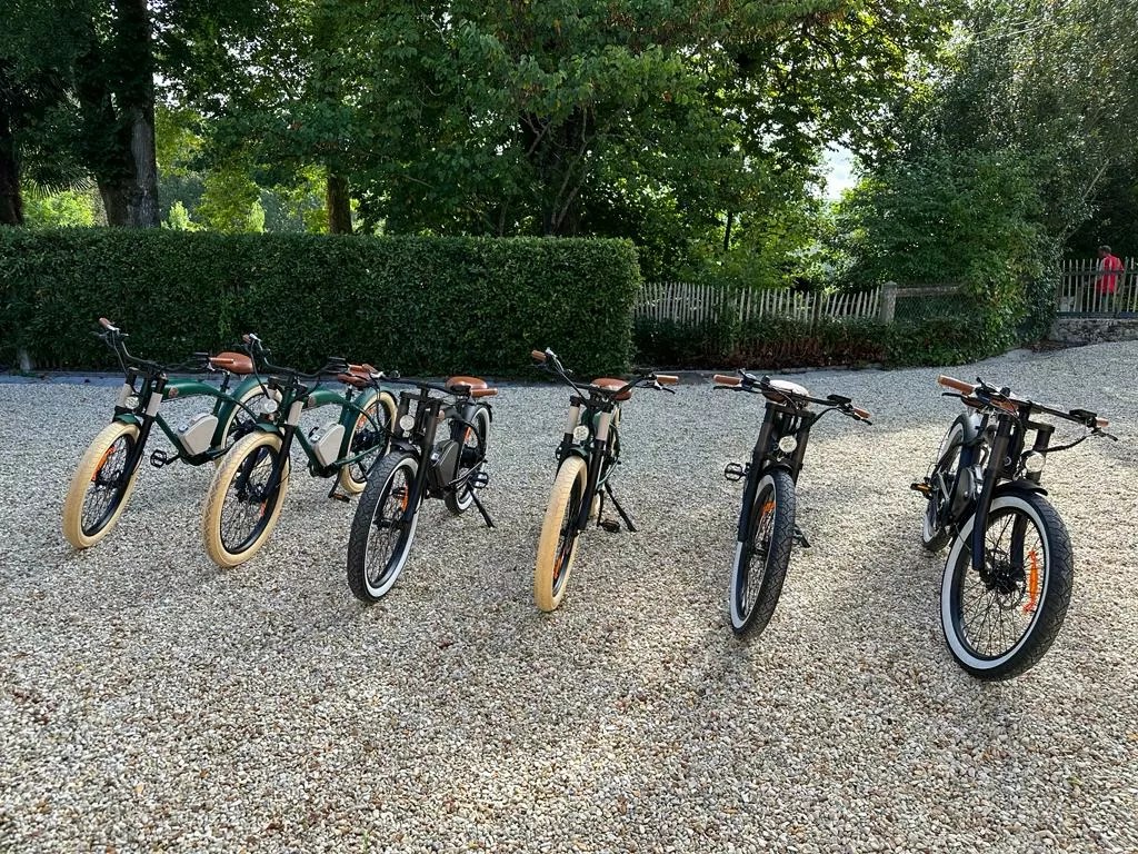 Les Mirandes - La Vigne