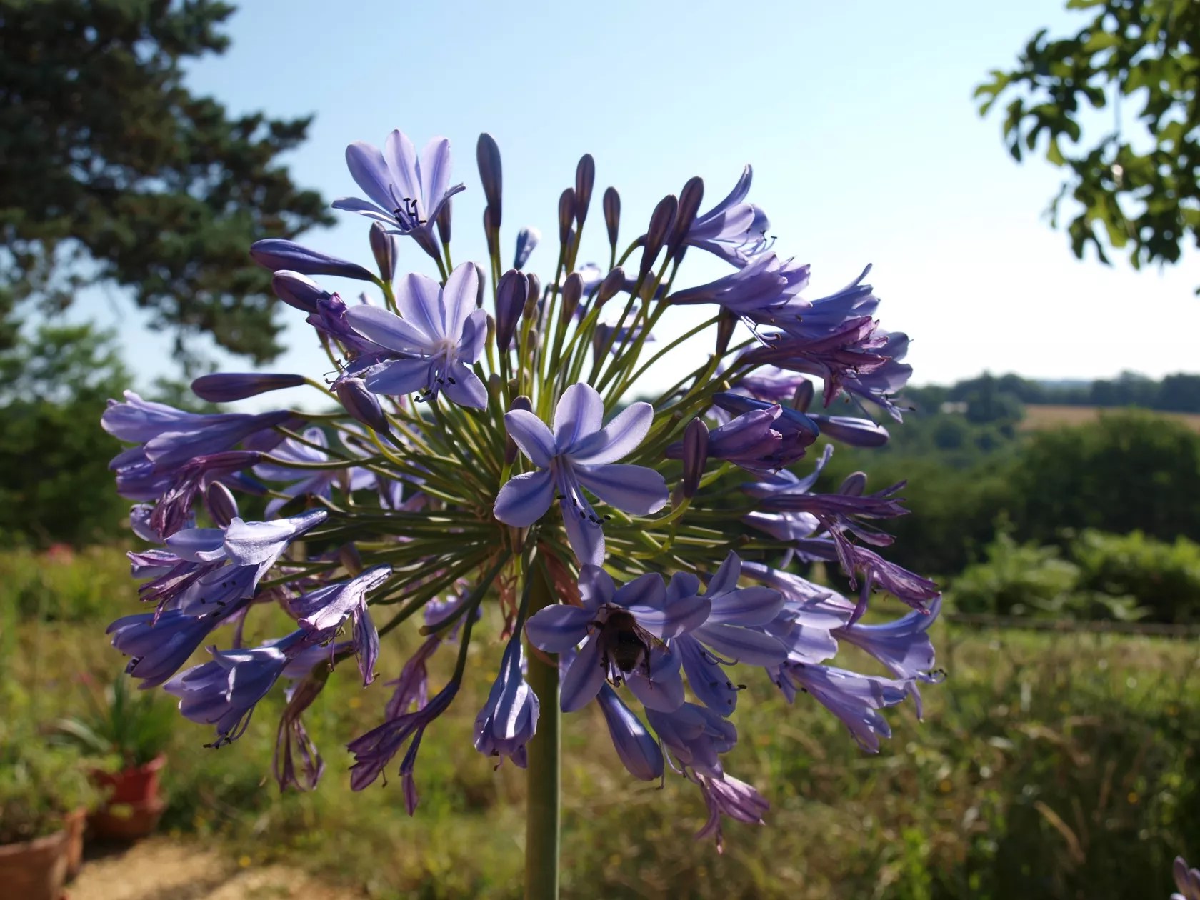 La Cipière - l'Hirondelle