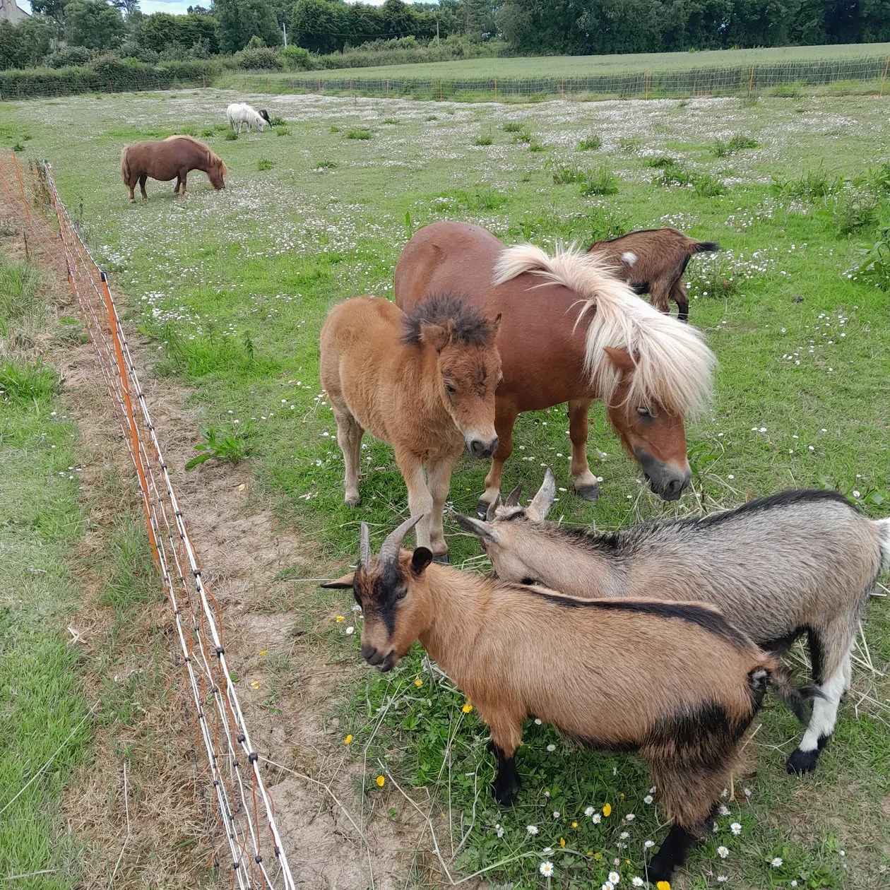 Entre campagne et mer
