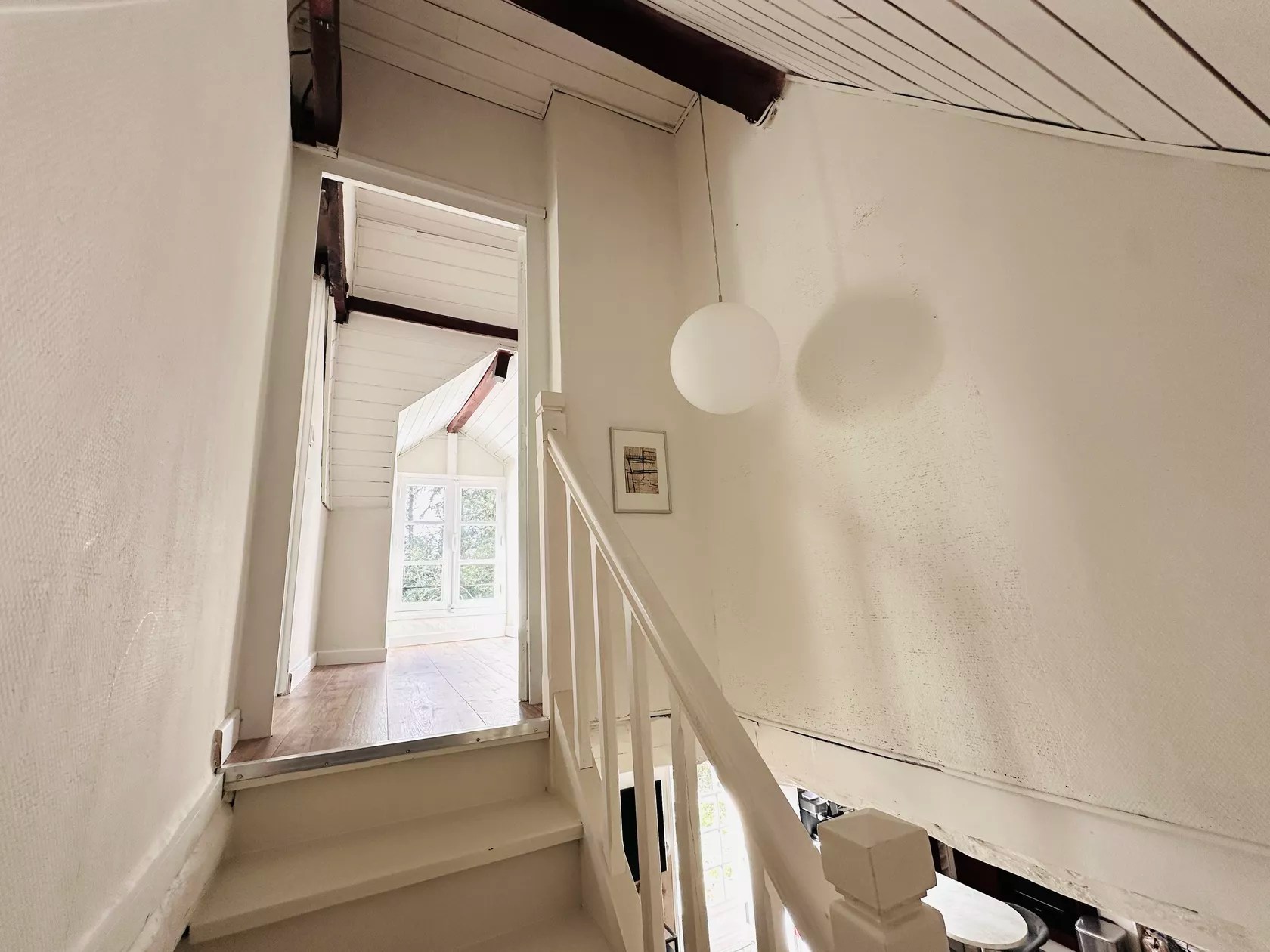 Les Deux Canards Perdus