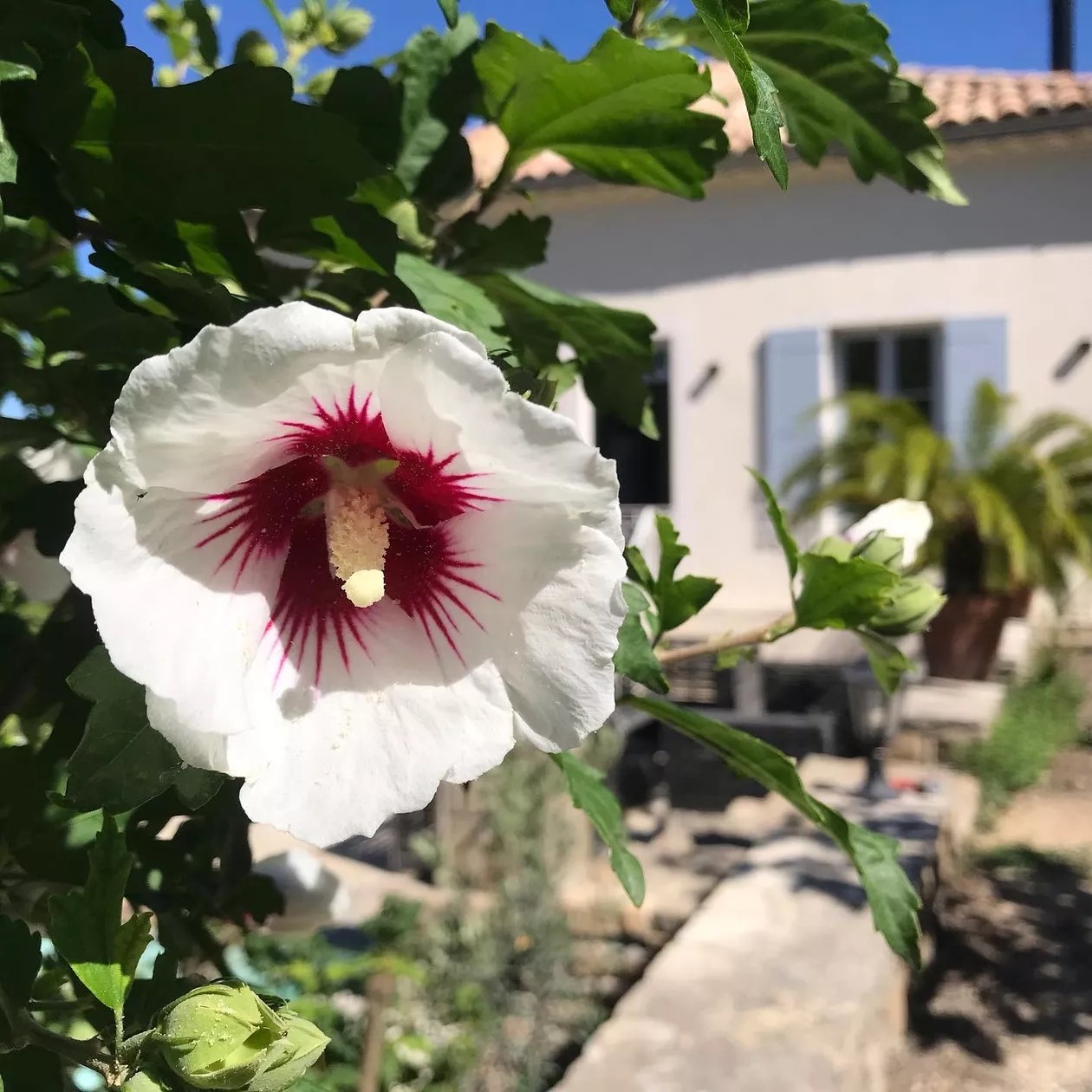 Domaine Cadignac - maison Carrée