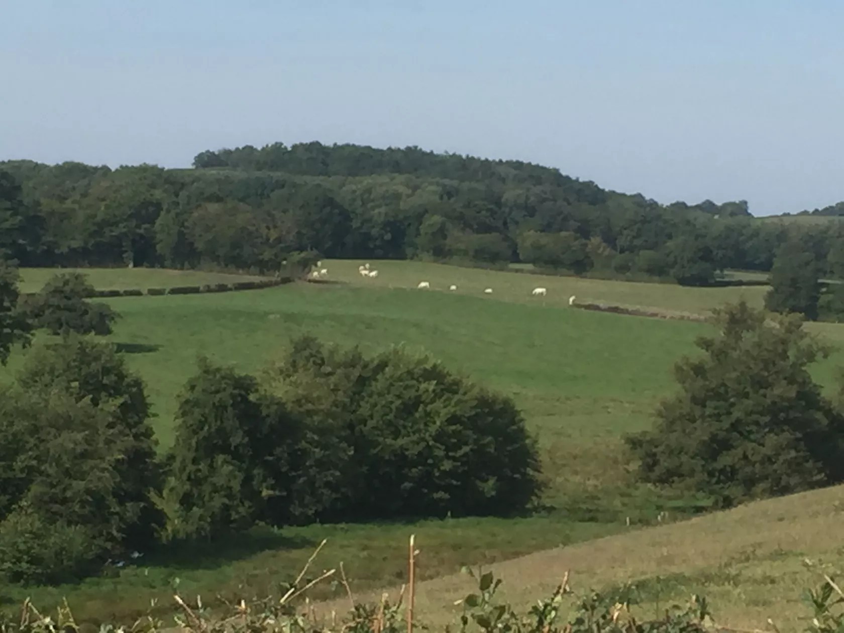 Gite - Maison Moulin Bousset