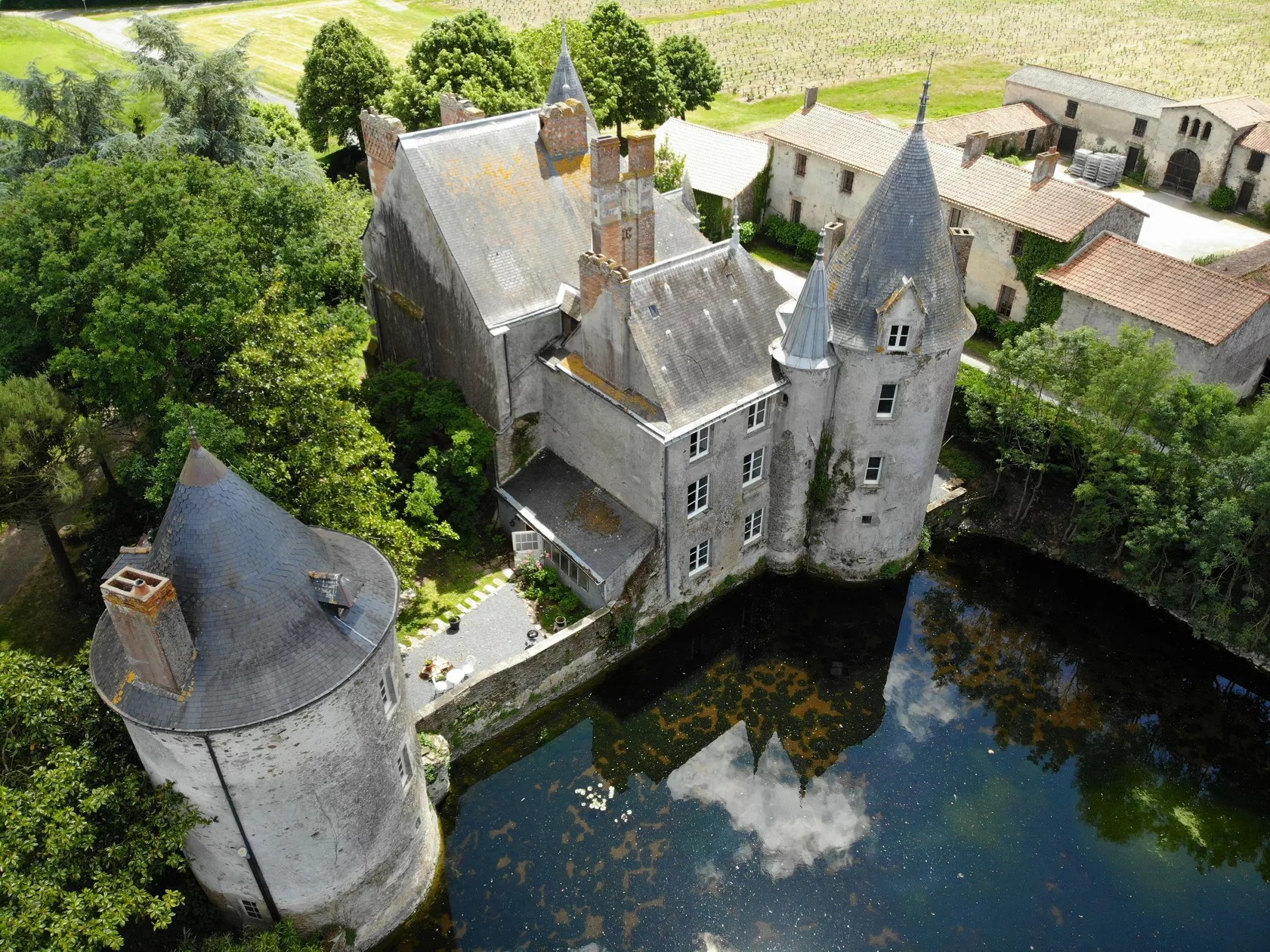 Chateau de la Preuille