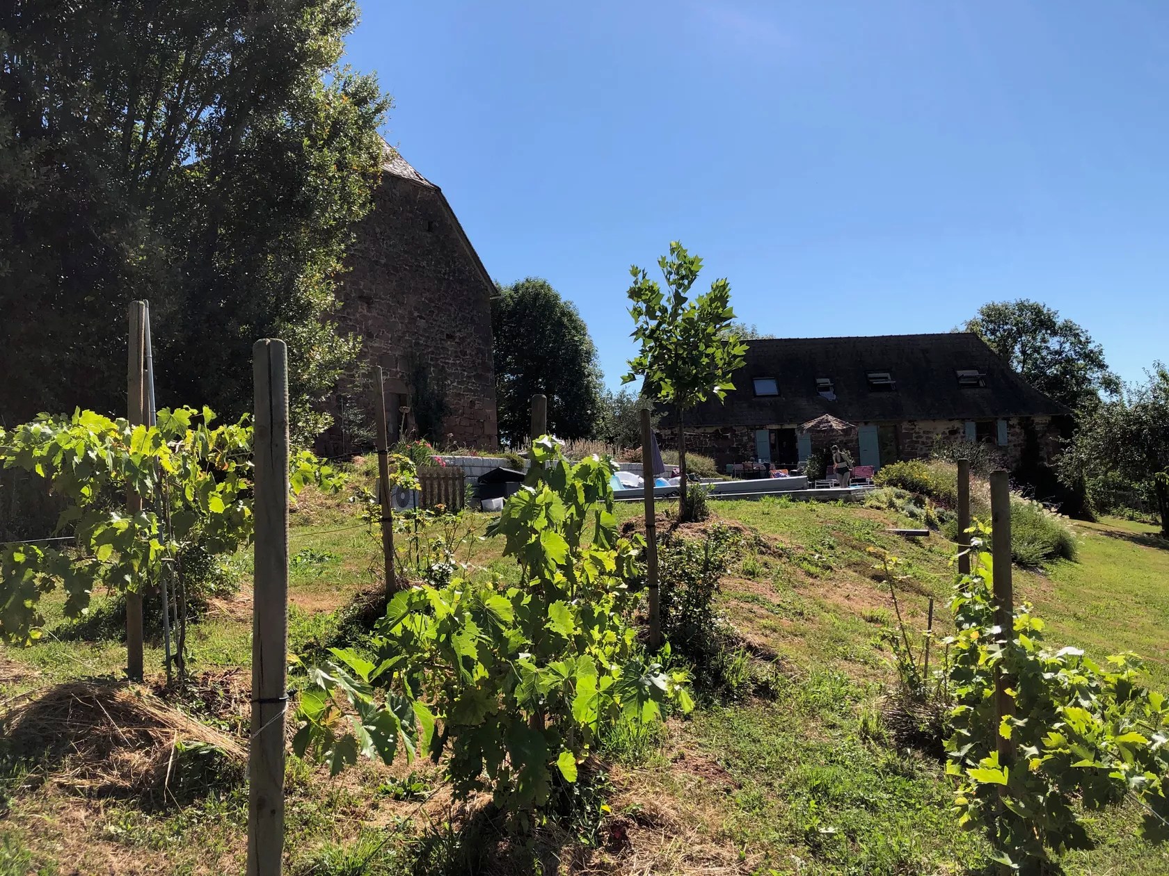 Domaine Maison Rouge