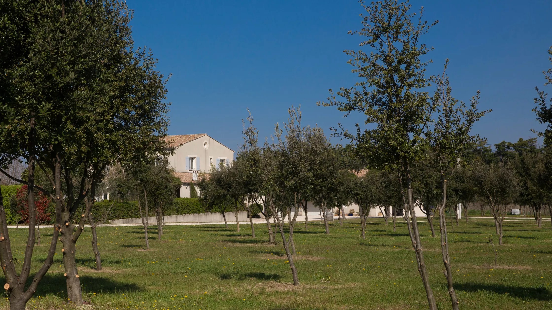 Domaine des Chênes Truffiers