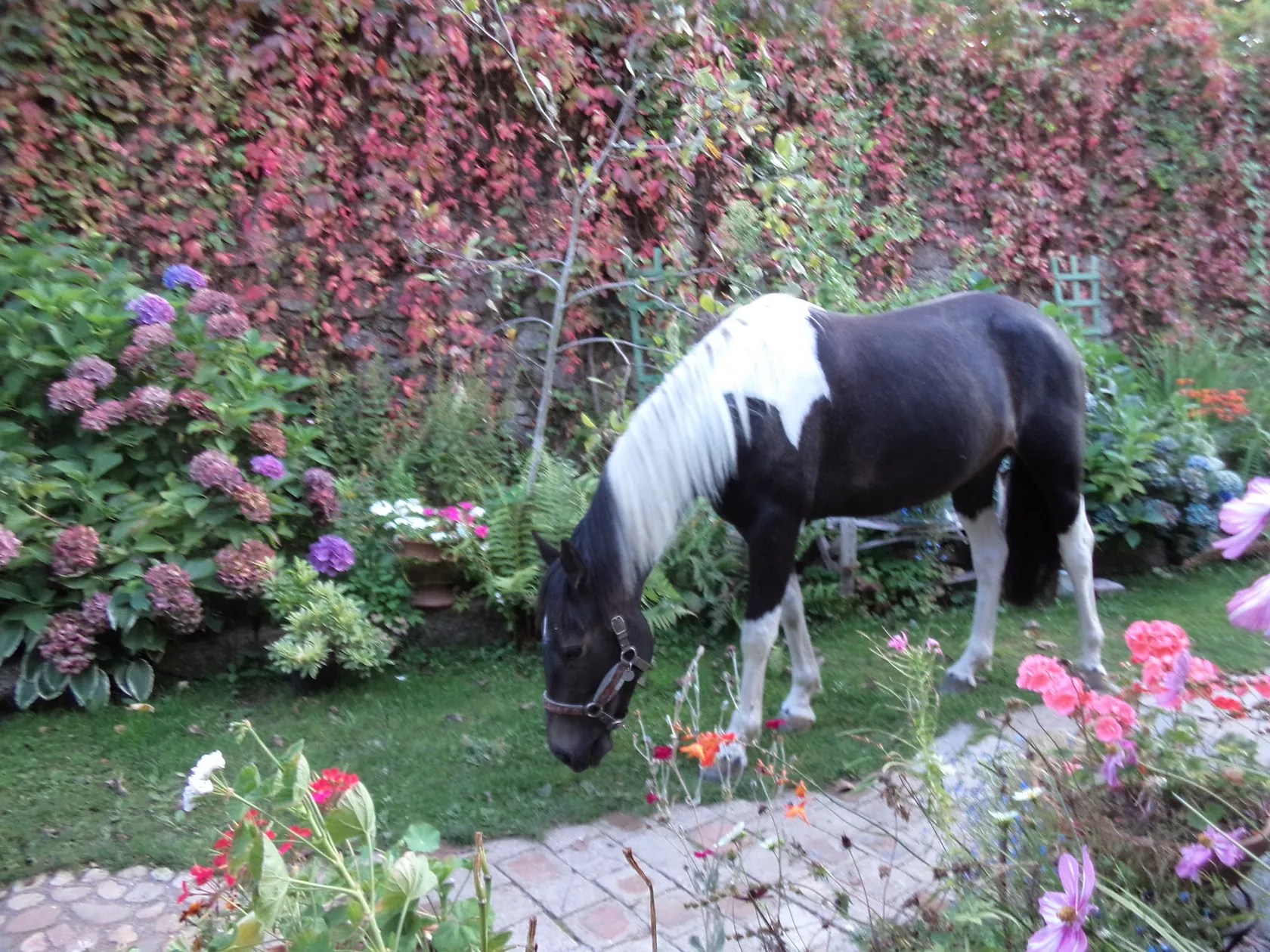 Geneste Petite Grange