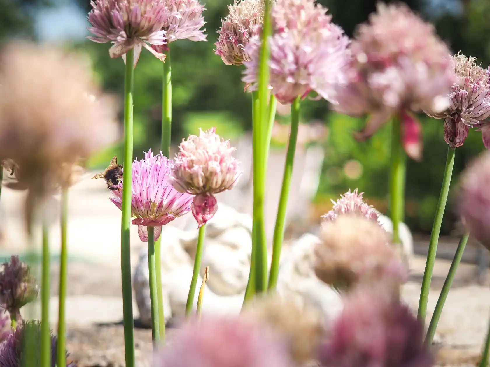 logis La Tour Orangerie