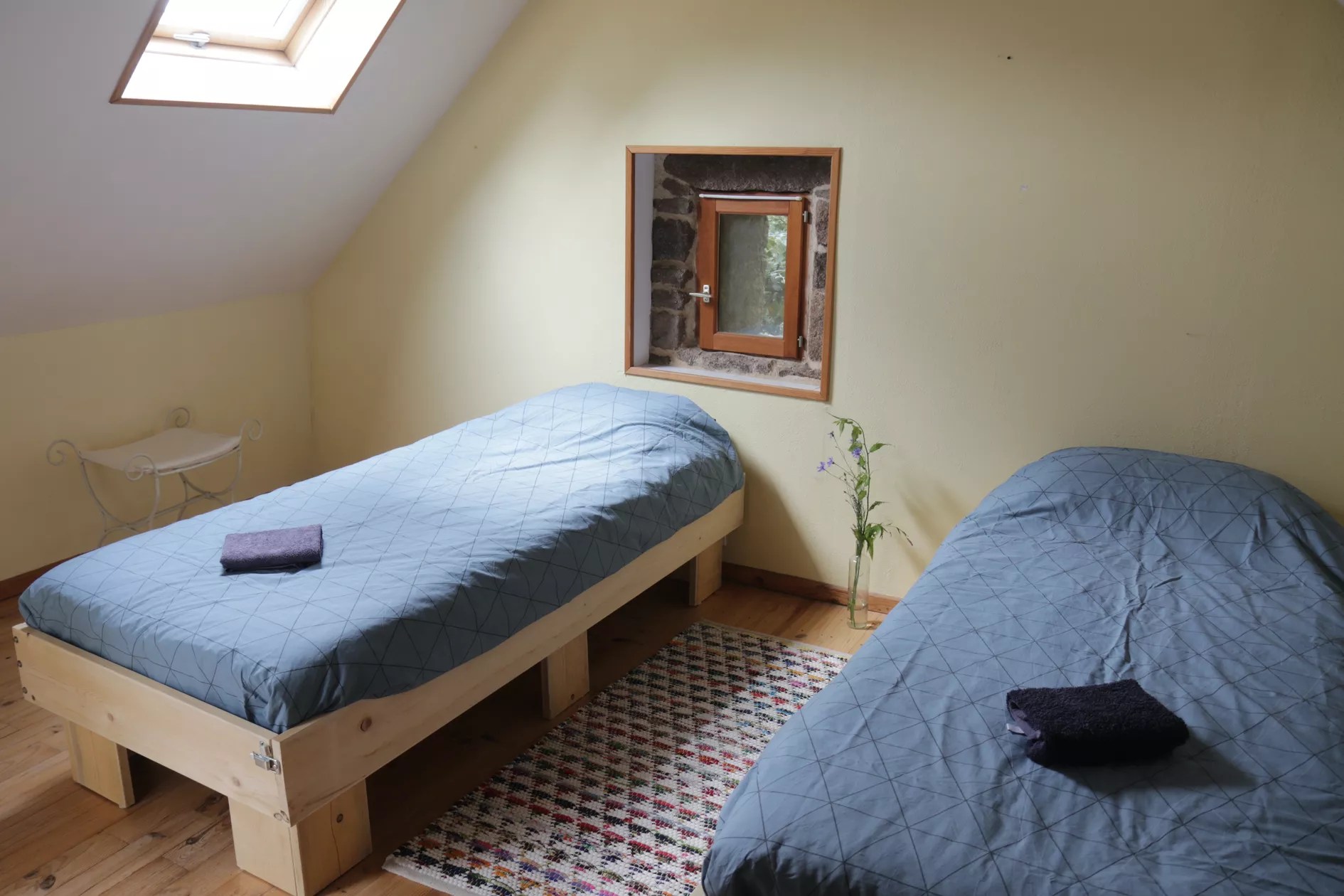 Chouette - aux yeux verts