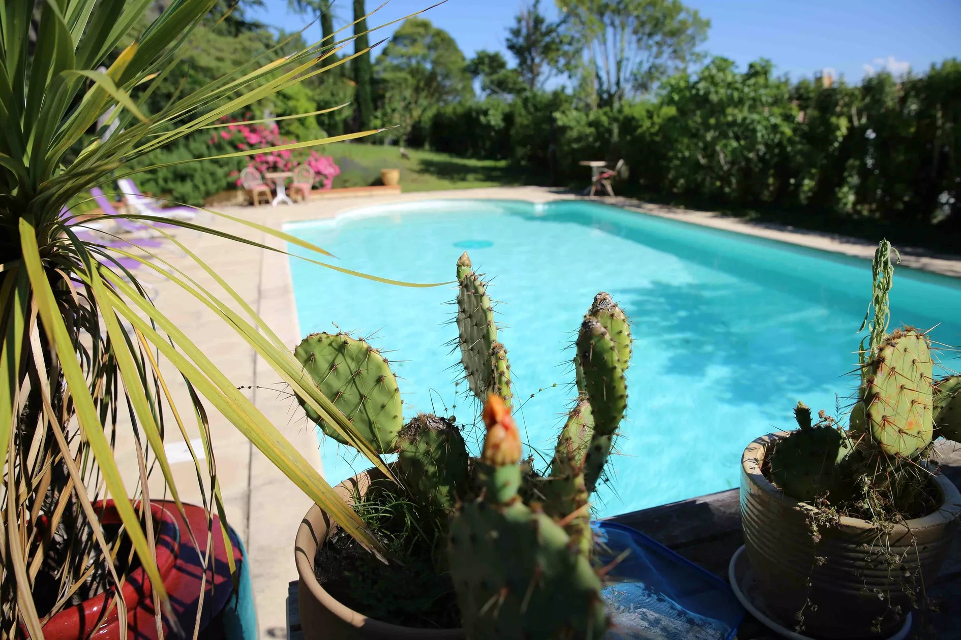 Domaine du Moment Soupex