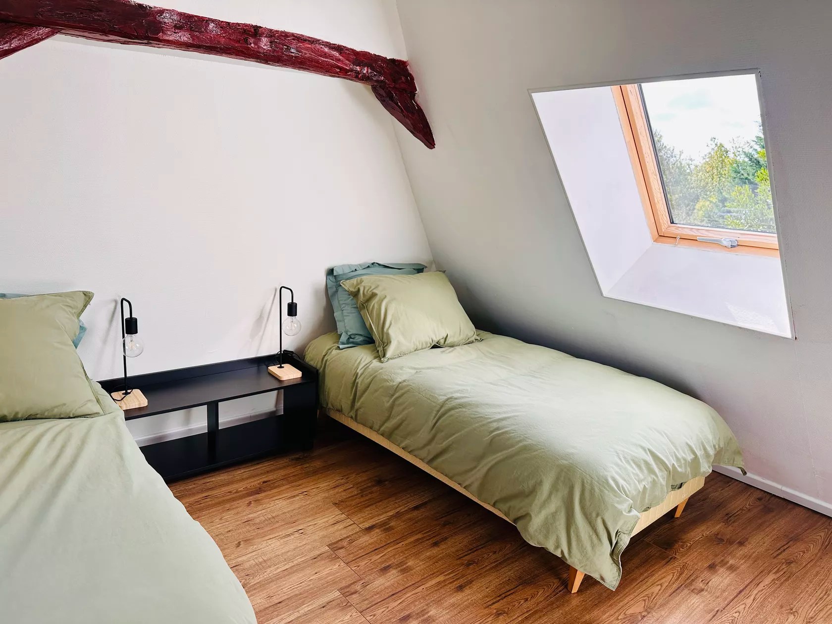 Les Deux Canards Perdus