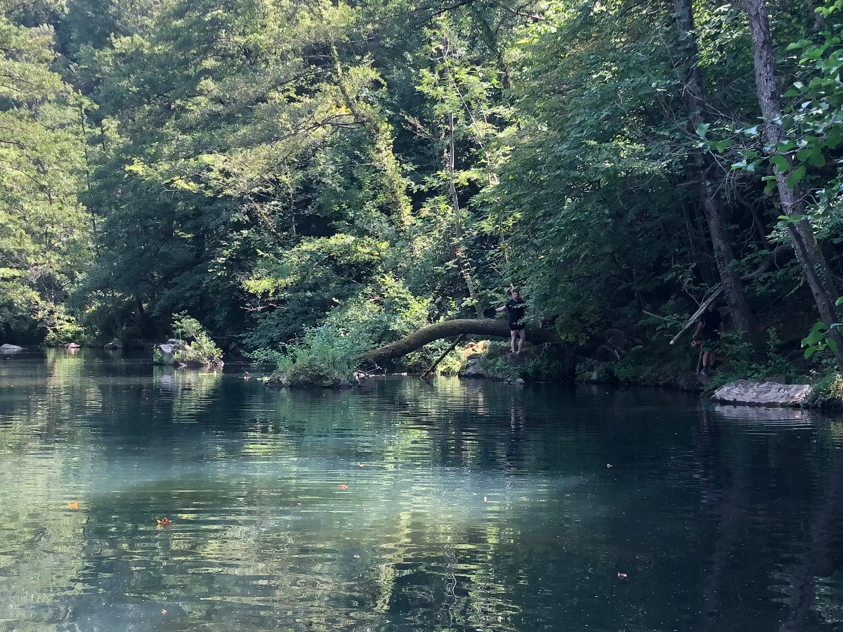 Chateau du Fraissinet - les Citronniers