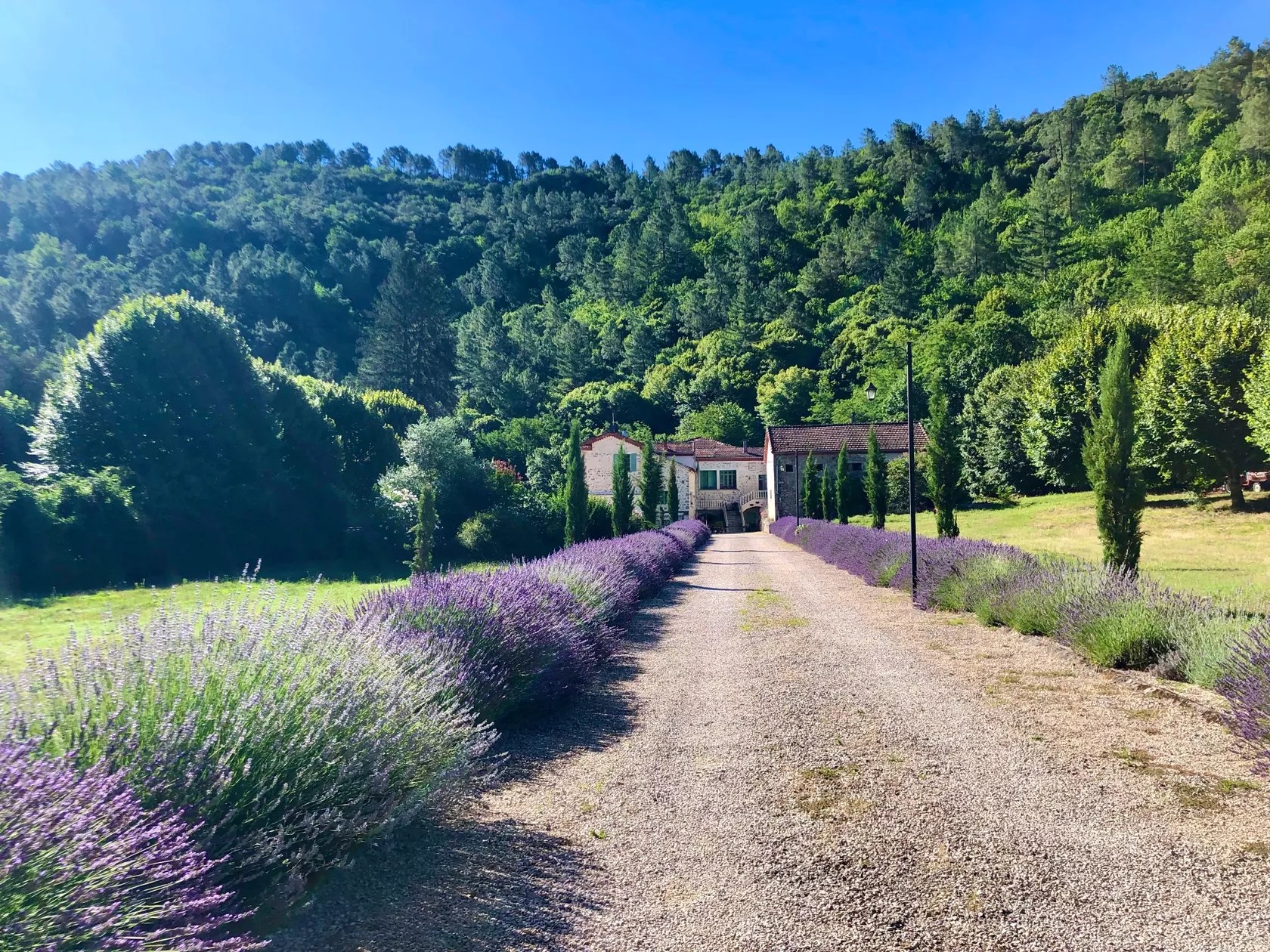 Chateau du Fraissinet - Les Acacias