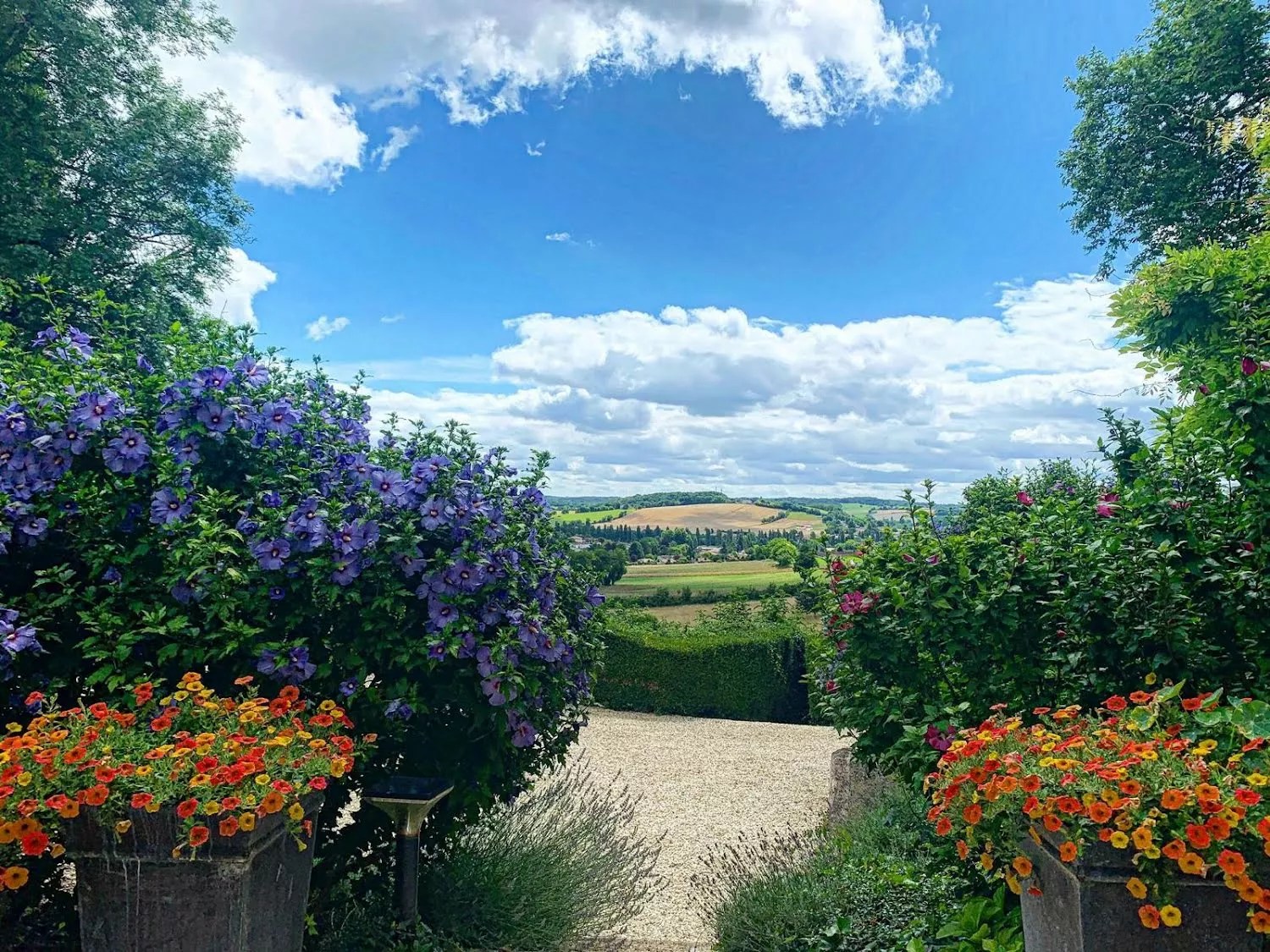 Les Mirandes - La Vigne