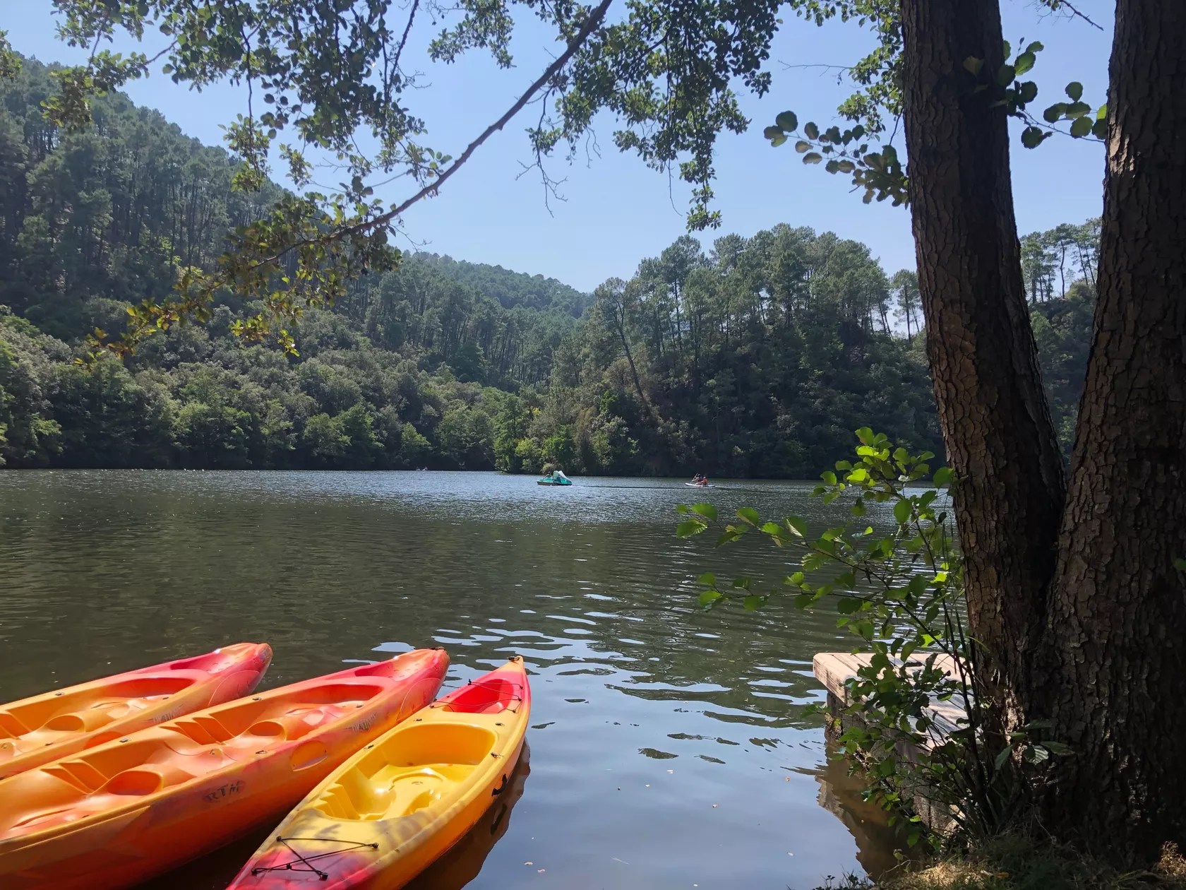 Chateau du Fraissinet - Les Châtaigniers