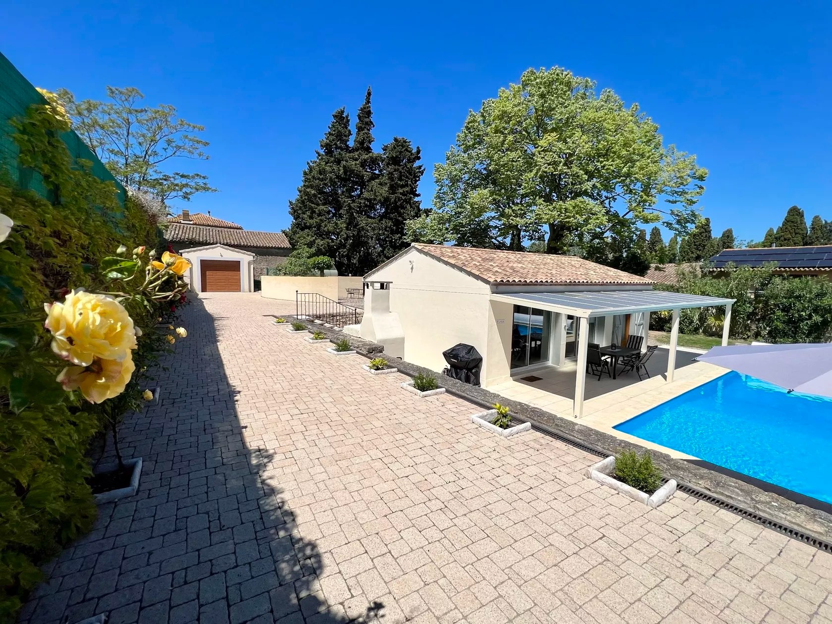 Les Petites Ecuries - Tango